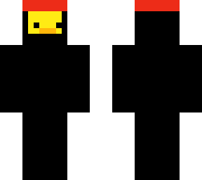 ninja duckie