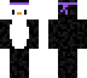 ninja penguin (editied)