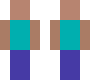0.5-bit steve
