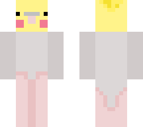 adorable parakeet (edit)
