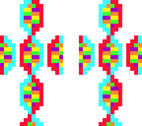 dna final