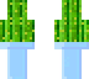 richarf the cactus