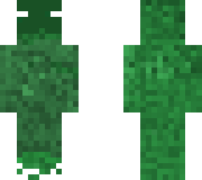 swamp ninja
