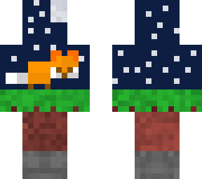 fox in the night