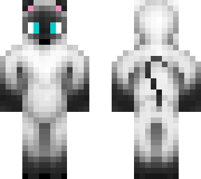 gato gris