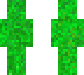 grass full