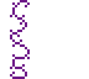 hermit purple