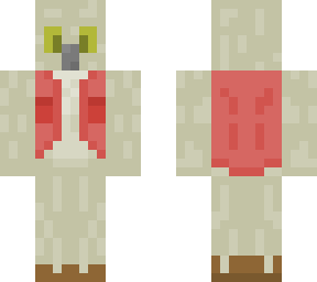 owl explorer