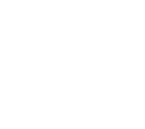 skeleton xd
