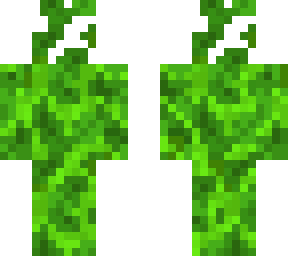 jungle
