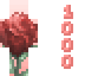 *.* 1000 followers *.*