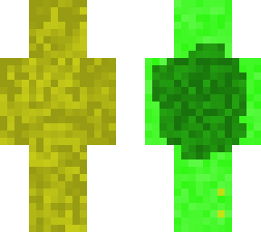 the turtle