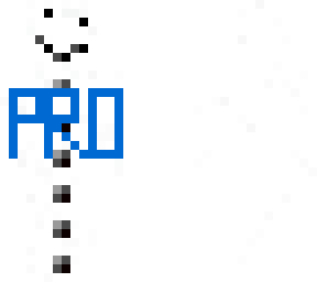 pro snow