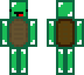 turtle skeppy