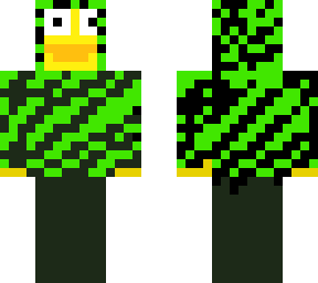 a duck