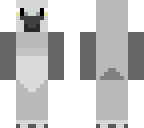 archarrots: african grey