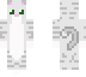 gray cute cat