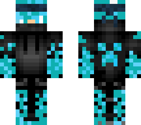 ice ninja