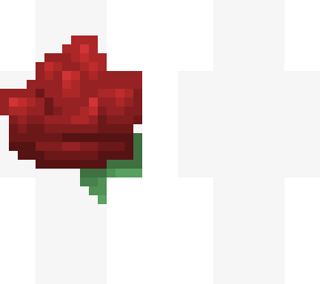 sometimes you just have to stop and smell the roses
