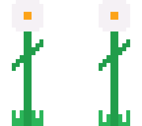 ~daisy~