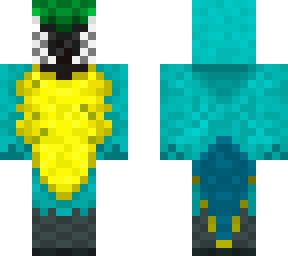blue and yellow macaw