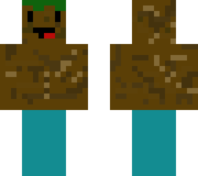 derp grass block skin