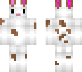 my rabbit
