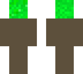 tree boy