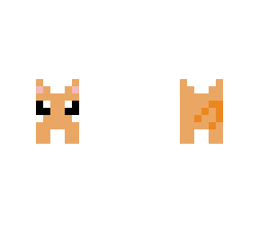 cute cat