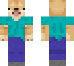 doge steve