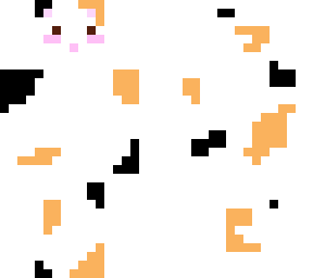 hamster