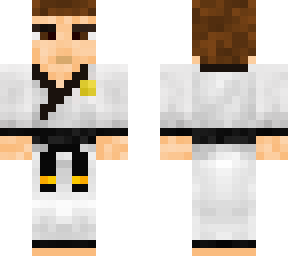 taekwondo master