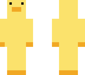 a duck