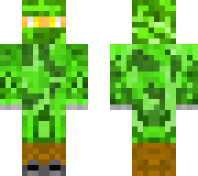 military officer