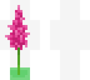 snapdragon - ce