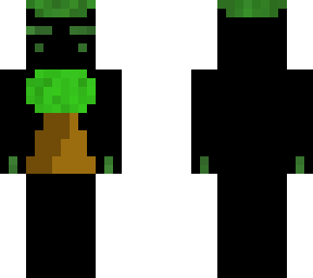 tree shadow