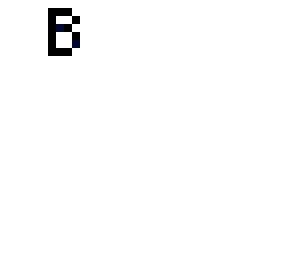 b head