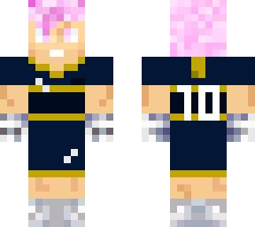 skin para pabliyo
