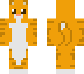 tabby cat