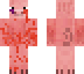 wounded pig