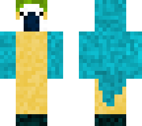 blue and yellow macaw