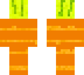 carotte melon