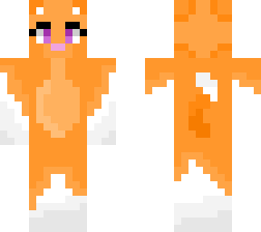 orange cat