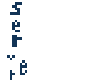 seerver