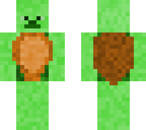 steve tortoise