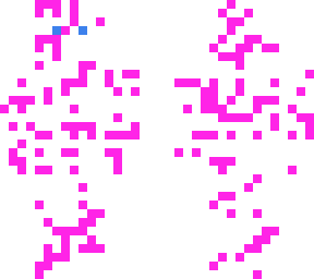 void skin