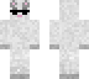 cat with sun glasses