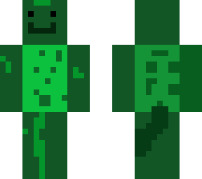 cute turtle