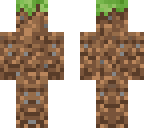 dirt camouflaged