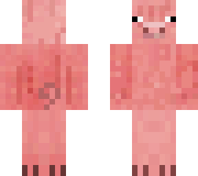 pig